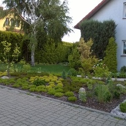 przedogrodek---otwarty-na-swiat